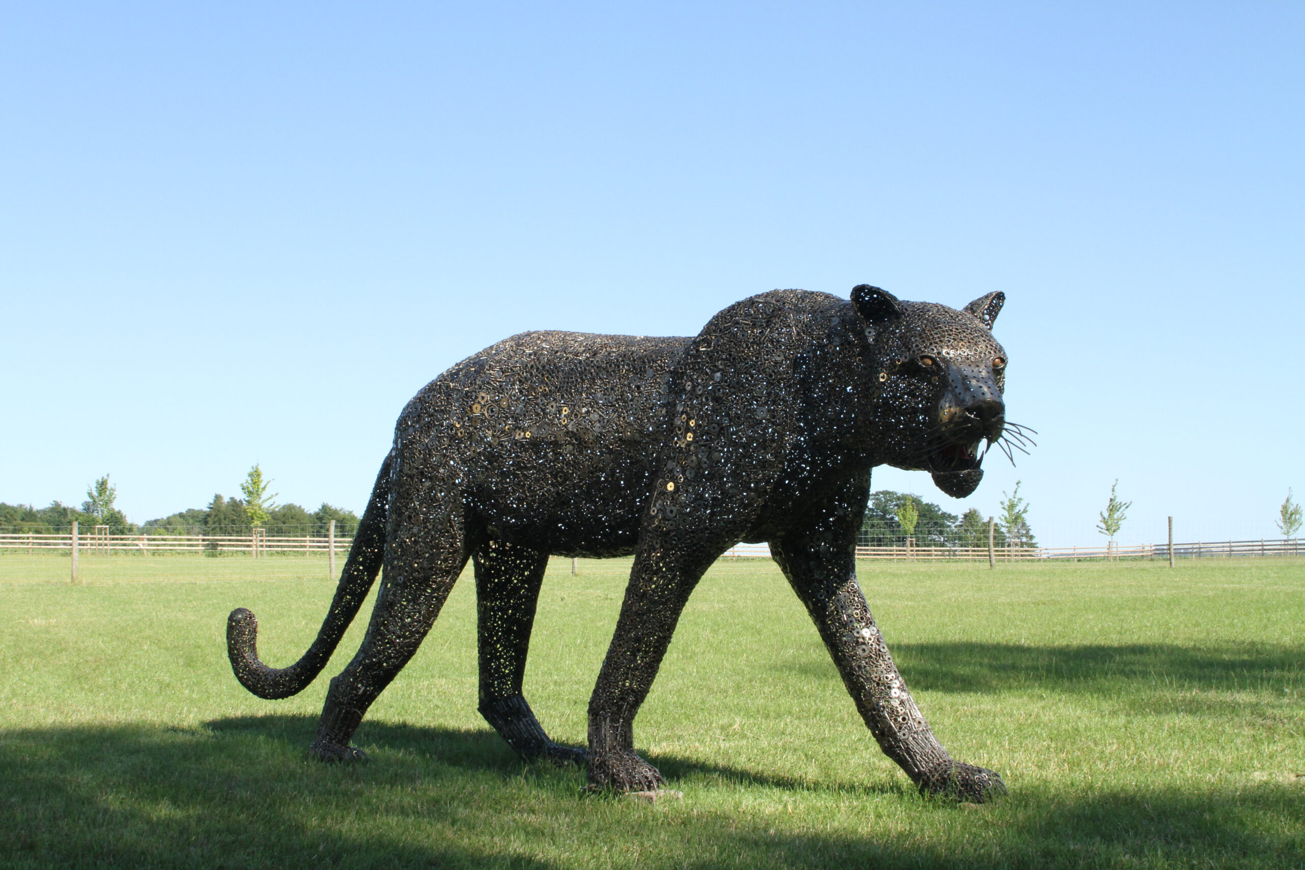 Unser Neuzugang im Juli: Ein Puma, aus ca. 30.000 Einzelteilen gerfertigt. –