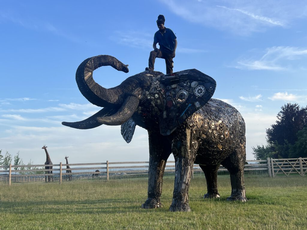 Shona-Art –
